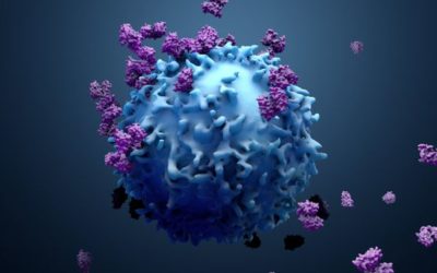 Une cellule pouvant s’attaquer à tous les cancers a été découverte